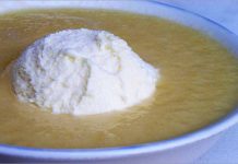 Receta de crema de melón con helado fácil y rápida