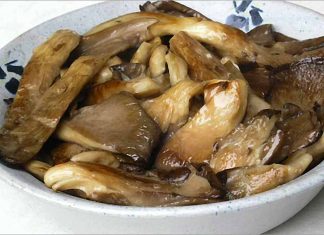 Receta de setas al ajillo fácil y rápida