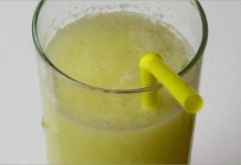 Receta de sorbete de melón fácil y rápida